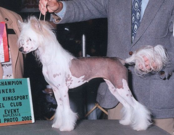 Legacy's Sparkle Plenty By Jove