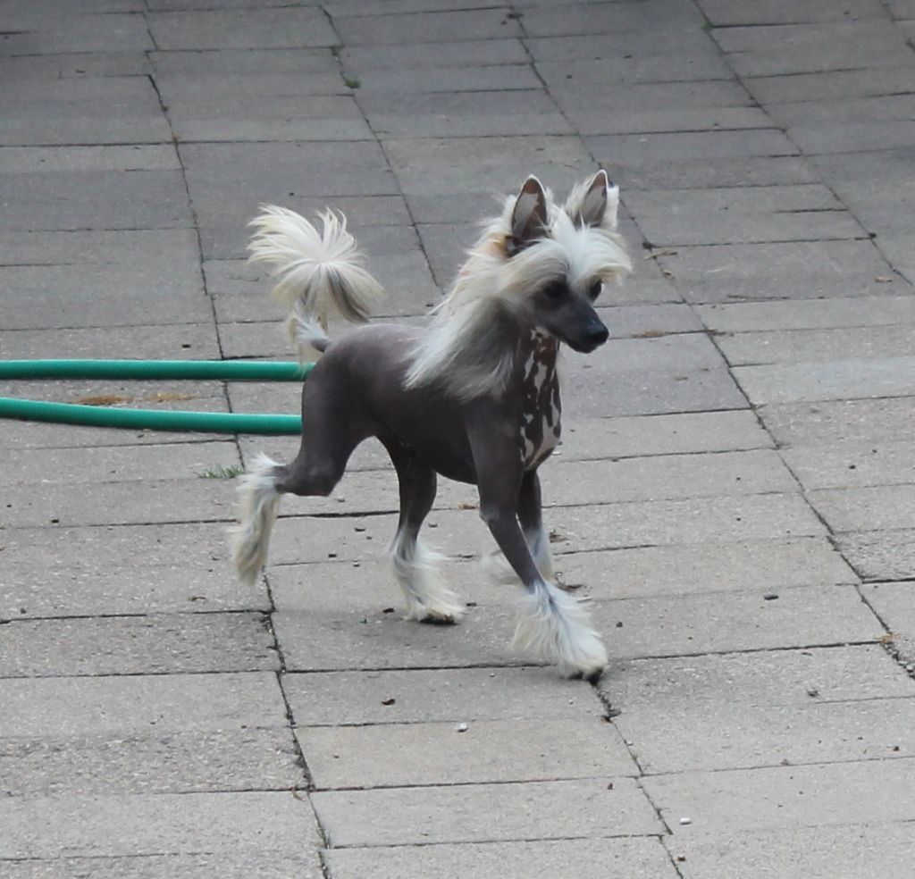 Jackpot La compagnie d'les amies