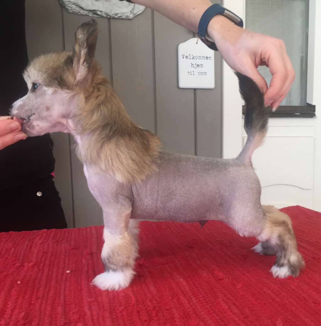 Moelmo's Well Excuse Me