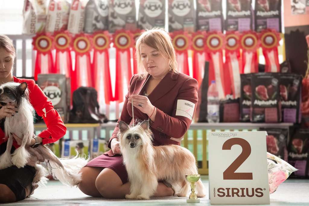 Mashama Mazi Rus Daima Faiga