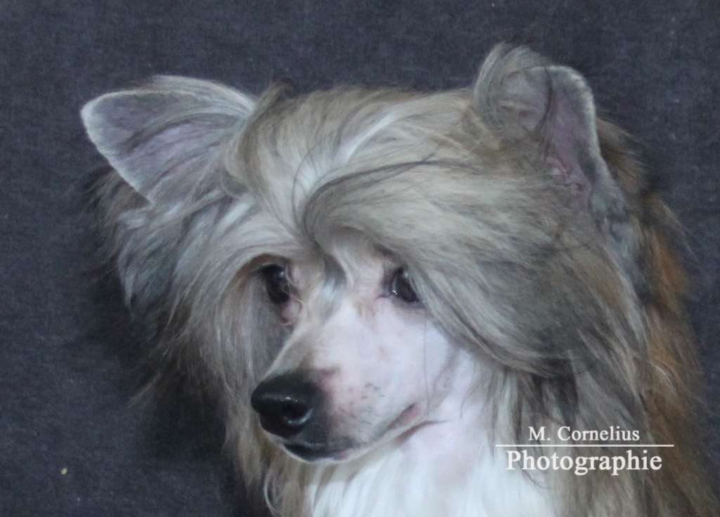 Pentti Baldev Diamond Place