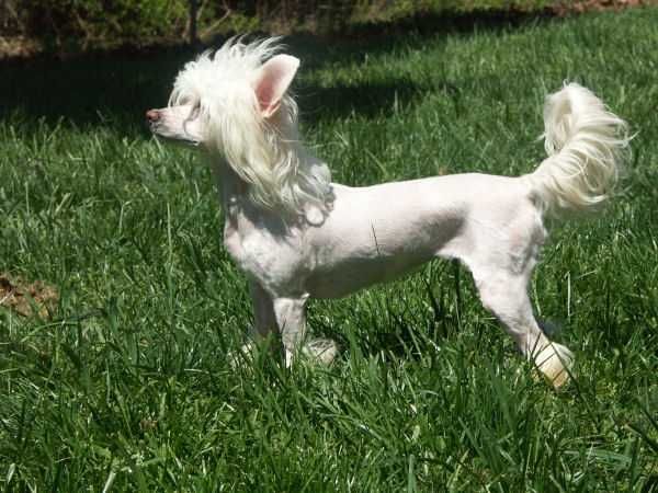 She's Show Fine N'CO