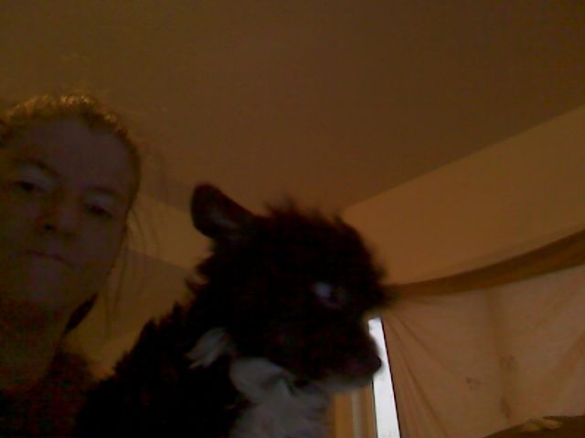 BlueIris's Midnight Magik PP