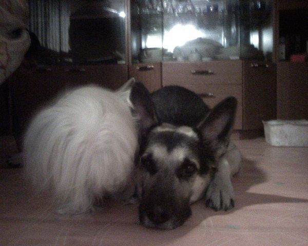 La Votre Belle Vivian Yait Blek