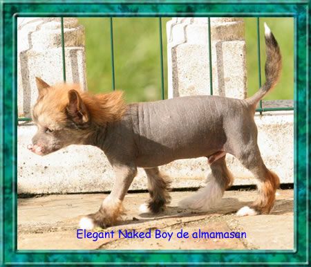 Elegant Naked Boy de Almamasan