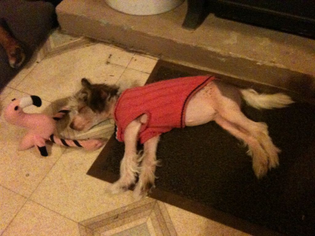 Naughty Nordic Nightmare