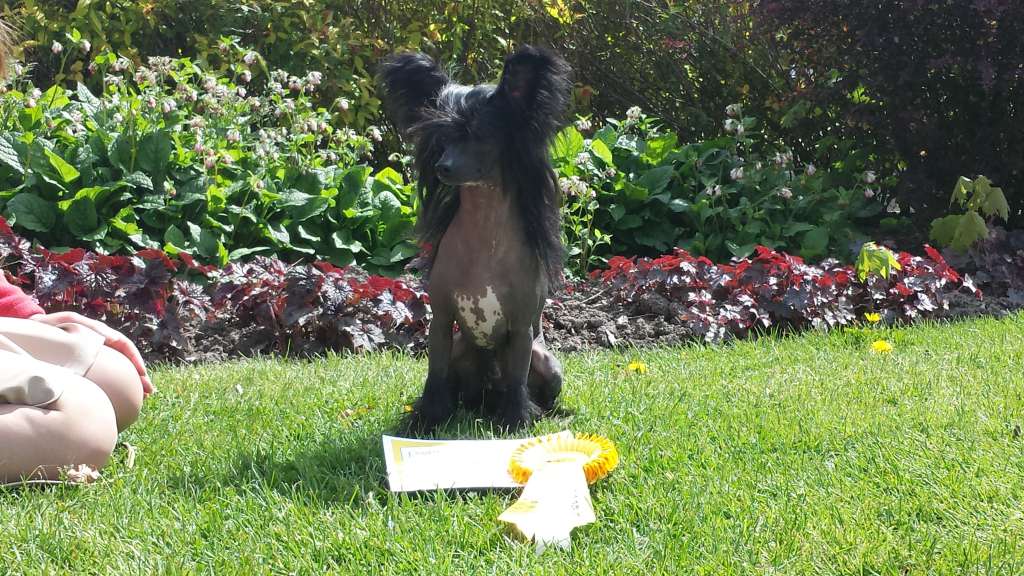 Michadaine Into The Groove