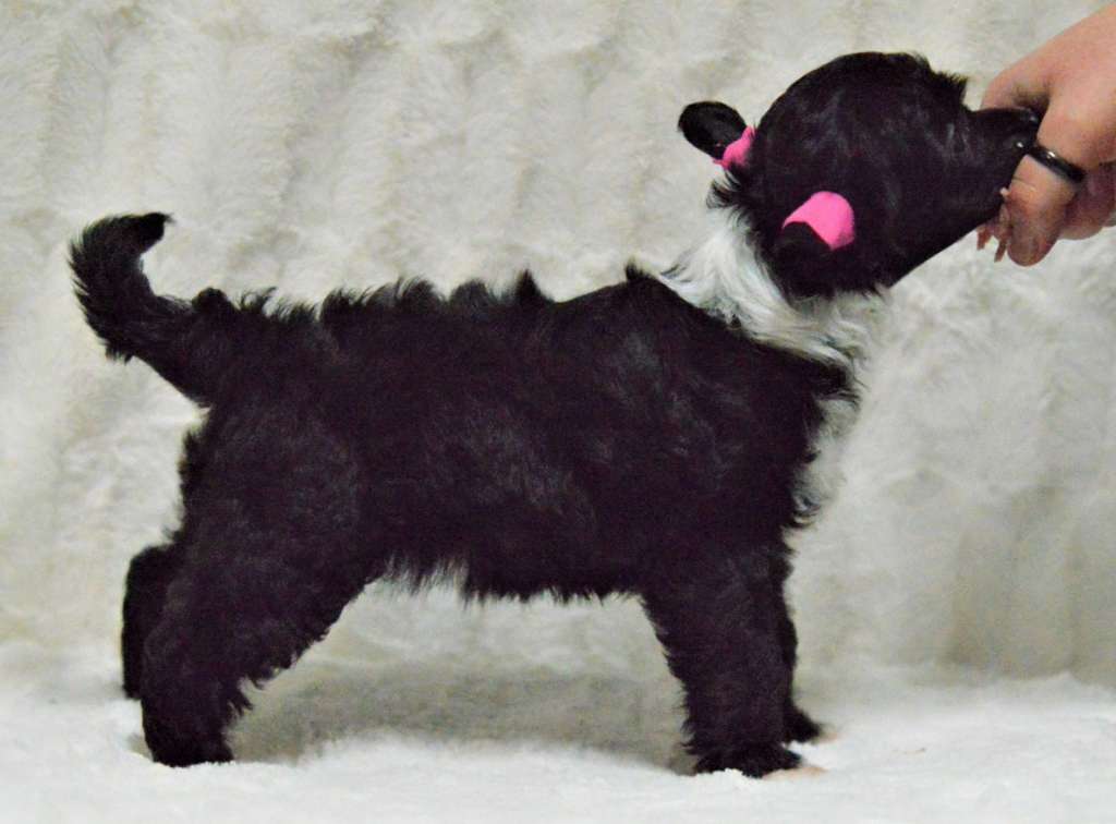 Kaitlin Beyond Black Dancer