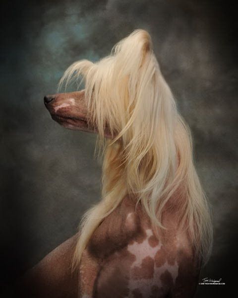 Daretobebares Quite Sunsational