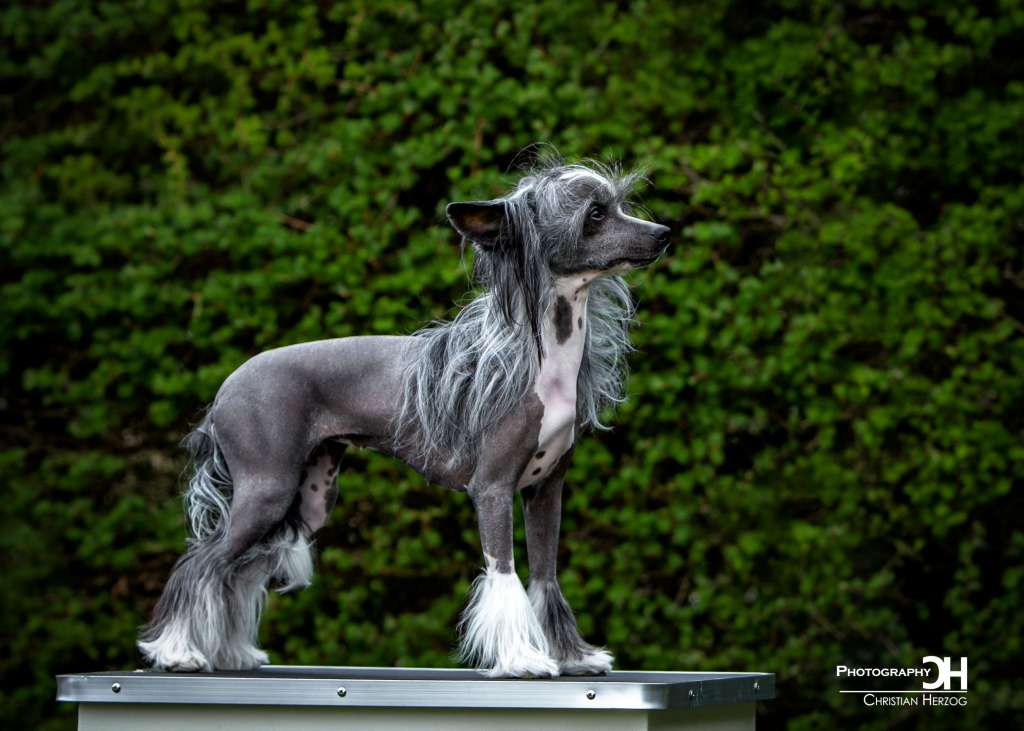 Impressive Winning Smile