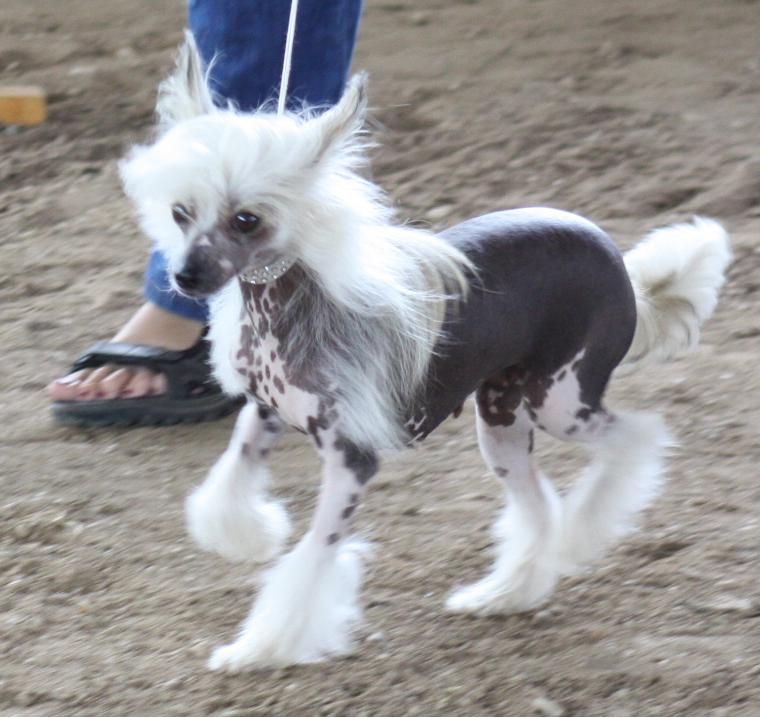 Greta Happy Sunshine