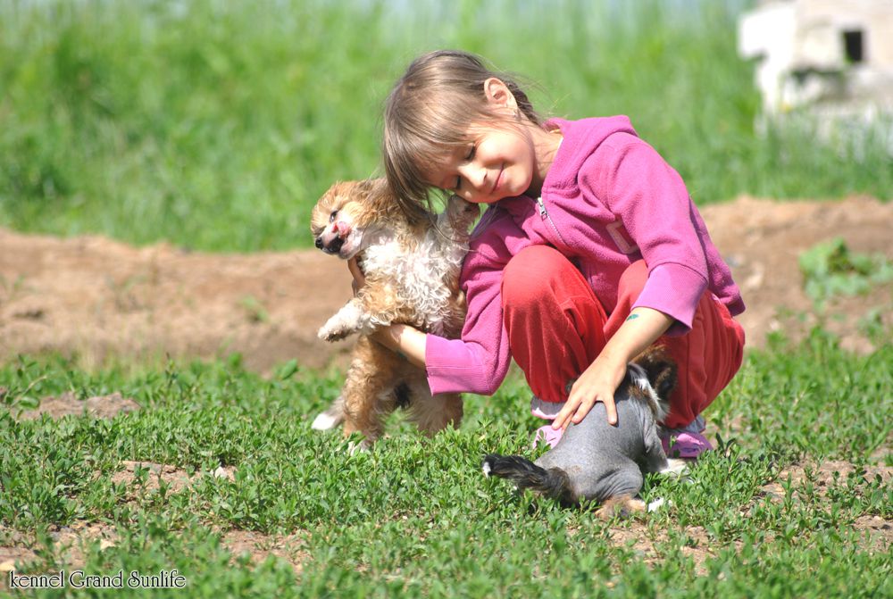 Grand Sunlife Full Of Love