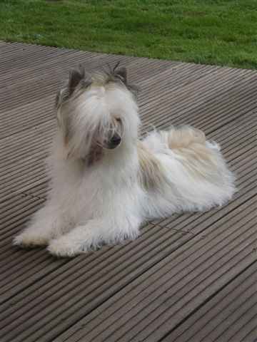 For My Heart Top Model De Rama