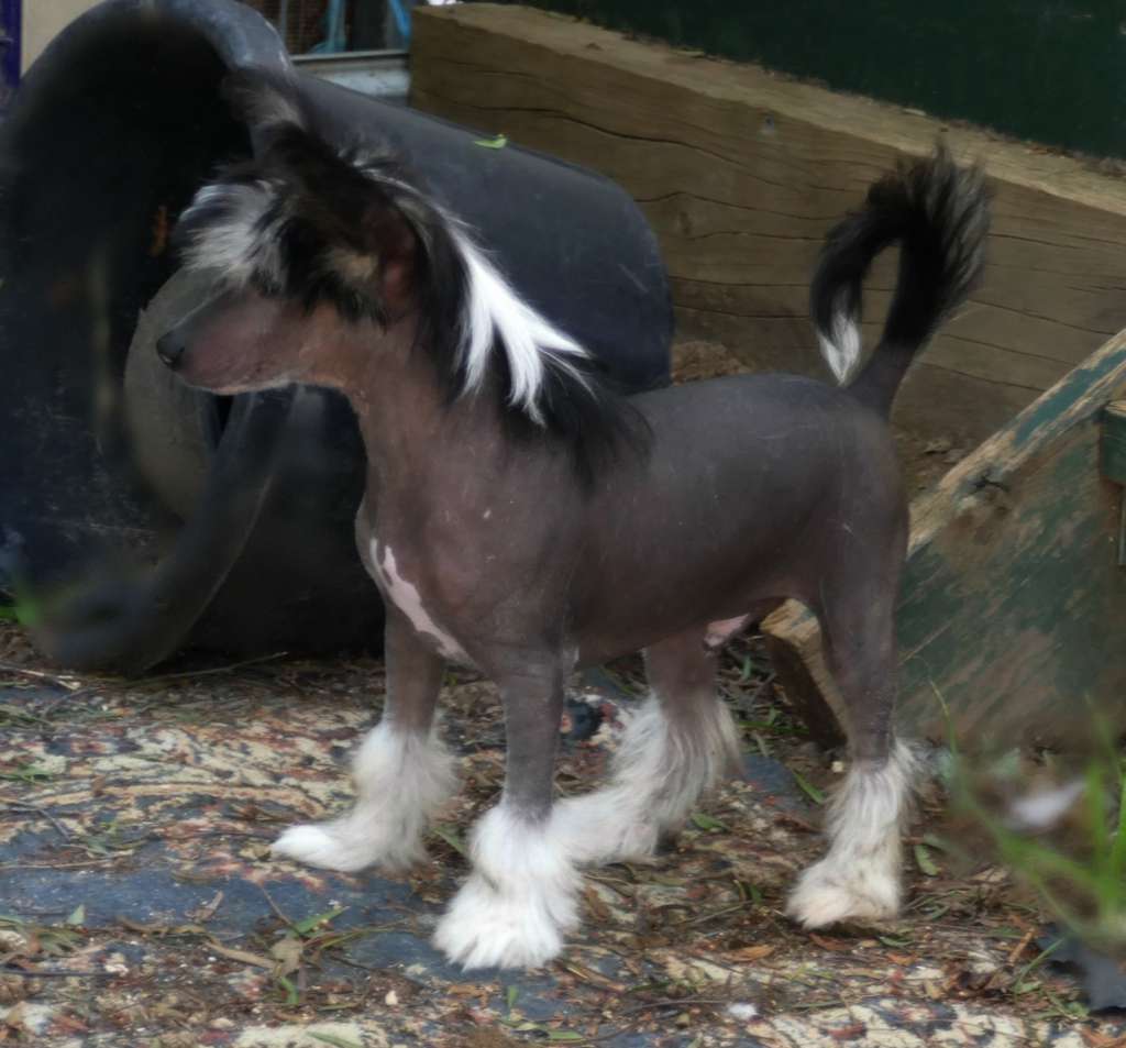 Glanore Stride in the Dark