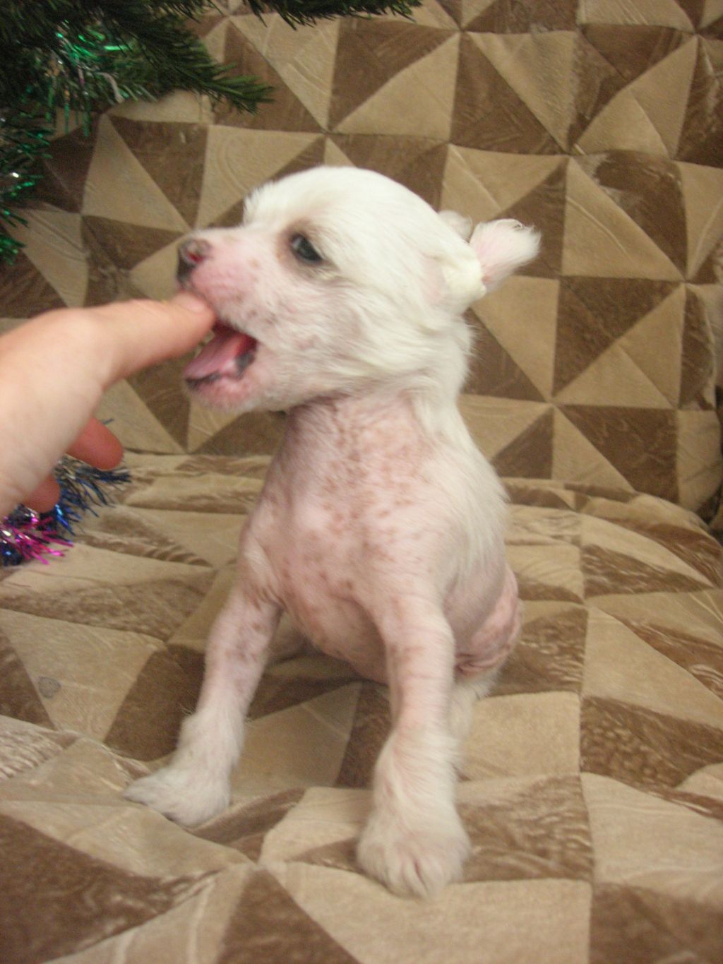 Rovanni Djekattolo Uitni