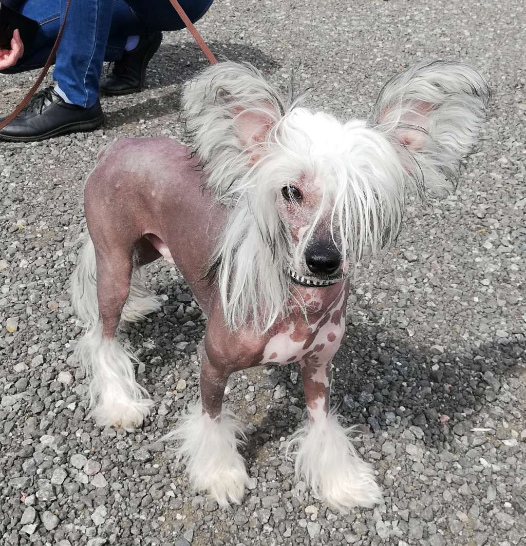 Reject's Nineteen at the Stars