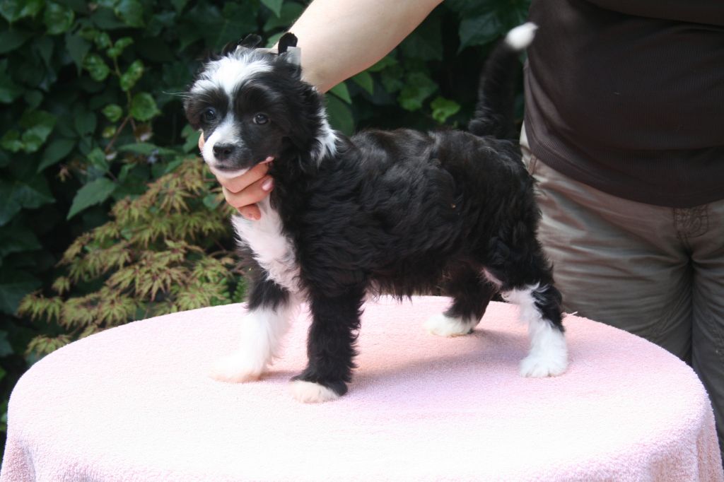 No Limits Fantasy Island