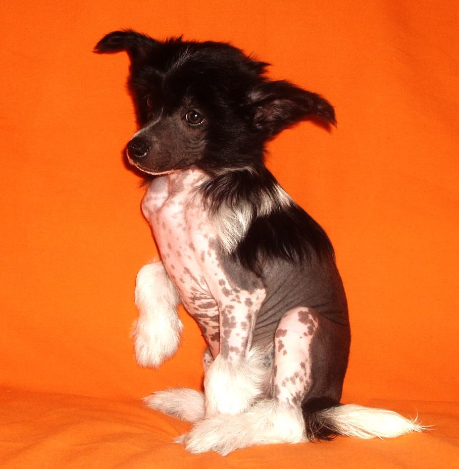 Djakonda Dame Nature