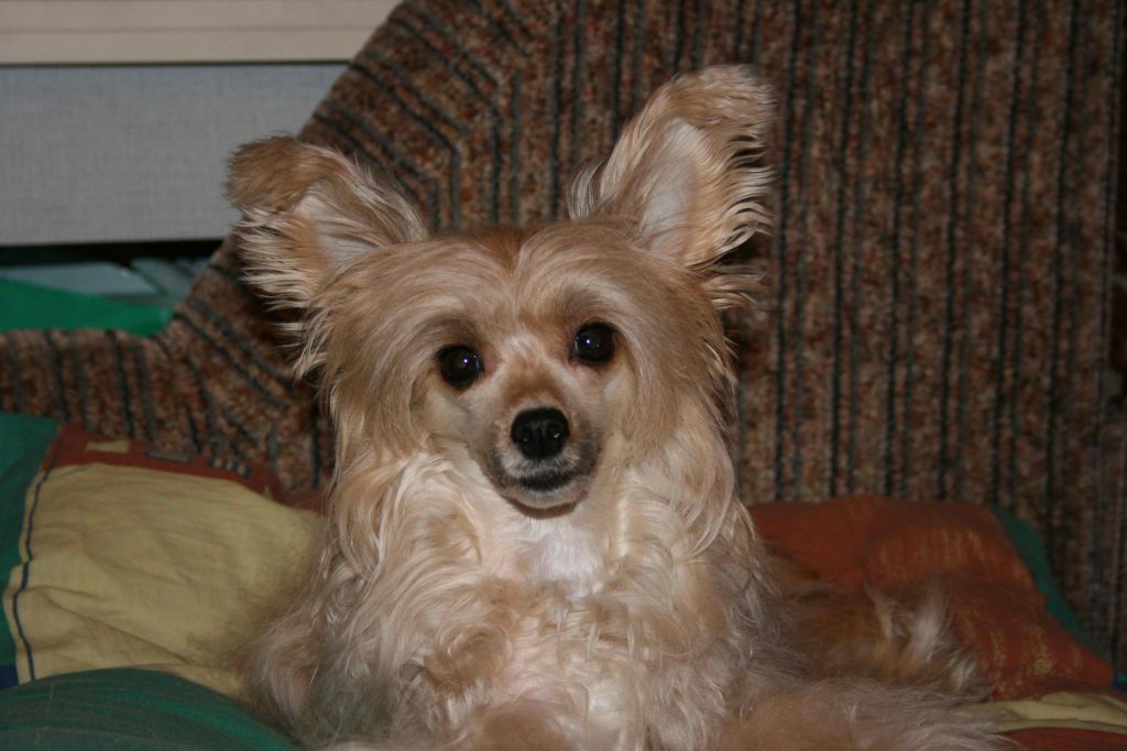 Olegro Katrin Rainboy In The Sky