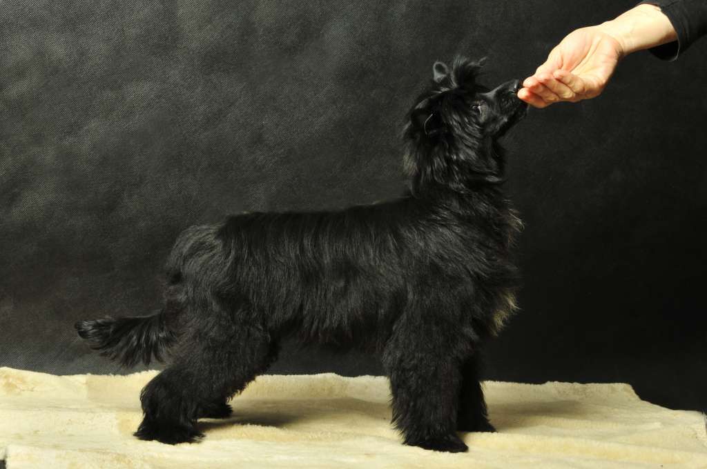 Emma Zaczarowany Flet