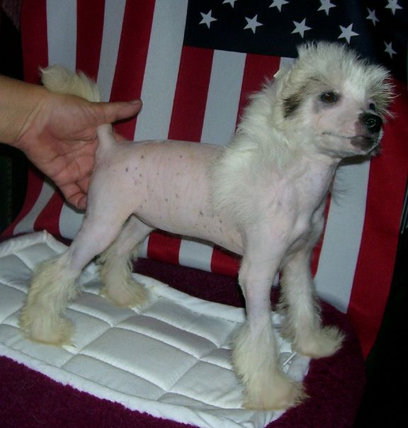 Spiritual In My Pink Shoe Laces