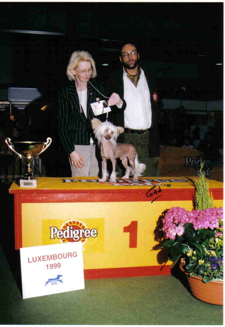 Undercover Agent von Shinbashi