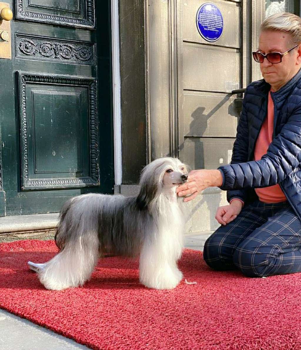 StripPoker's Bums, Boobs and Botox