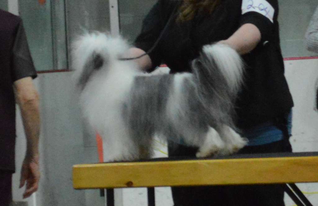 Gardine's Piece of the NB Pye