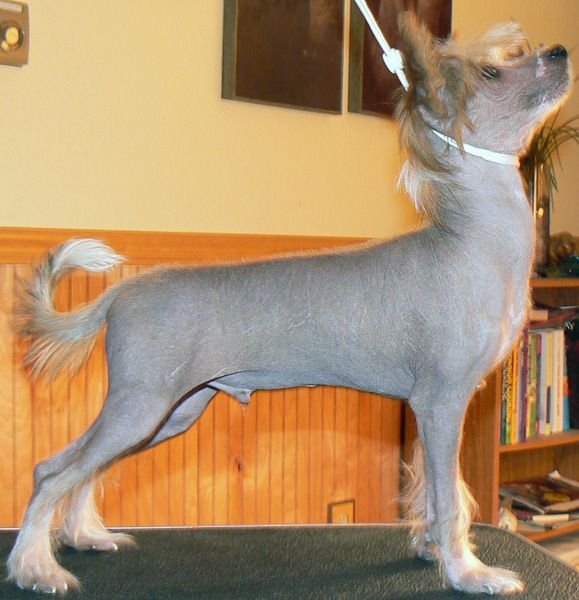 D'Nude's Cliffhanger