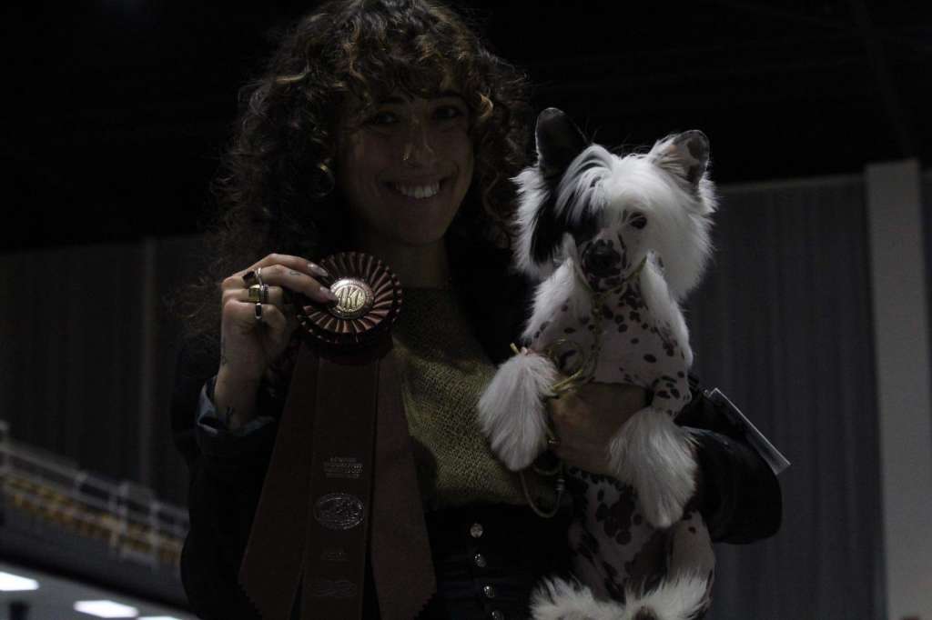 Poshs Patience Is A Little Pink