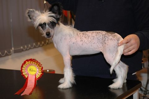 De La Mahafu's Love's Freia