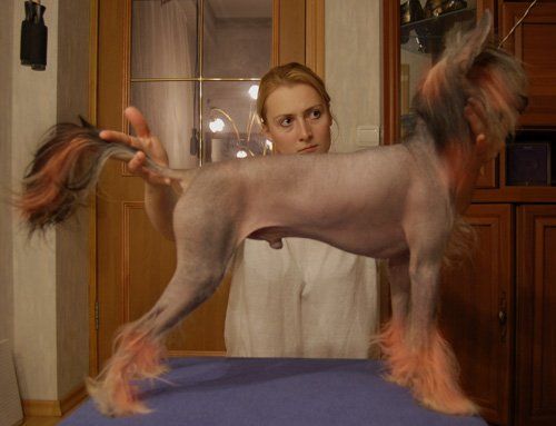 Velikiy Vissarion Minodora