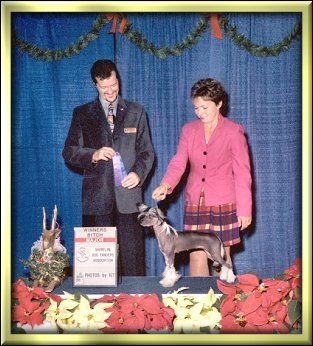 Silkyence The Naked Truth