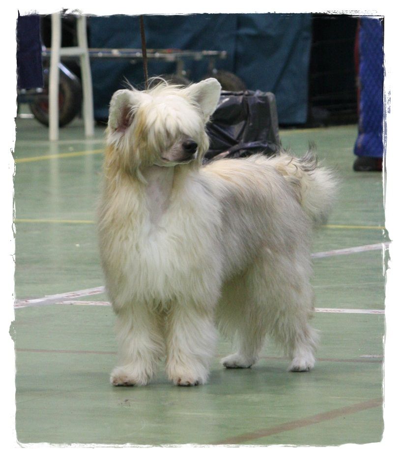 Fluffysteps Always Mamas Boy