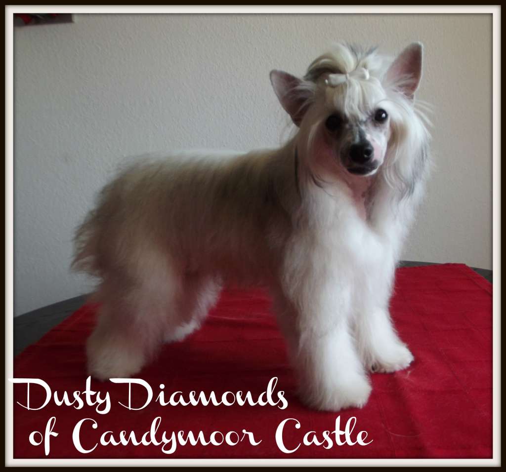 Dusty Diamonds of Candymoor Castle