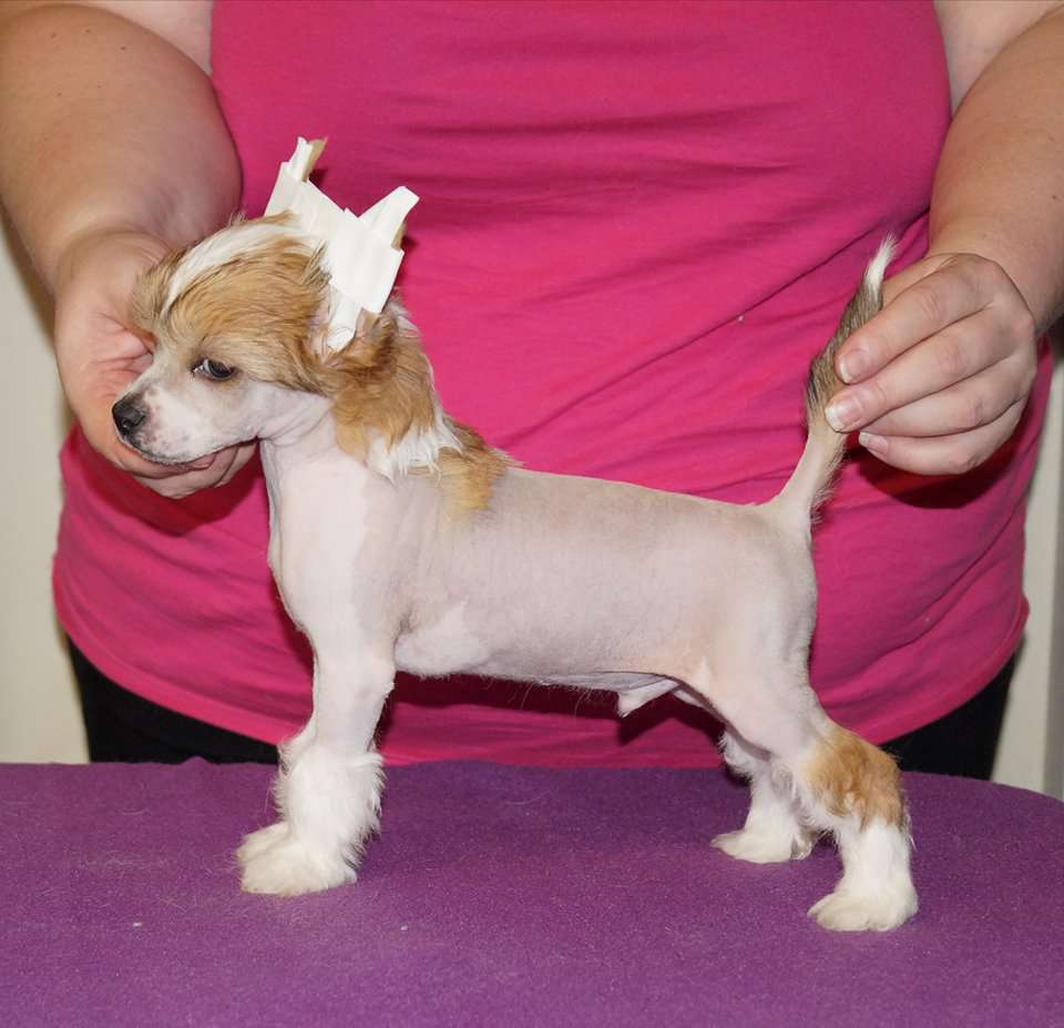 Sun Dan Baby It's Cold Outside