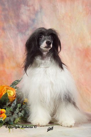 Alina by Change of Heart