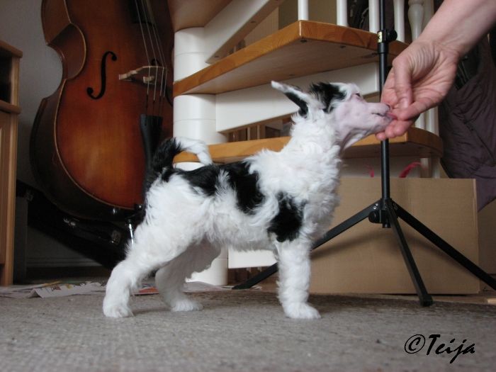 Just Call Me Heartfelt Vivi