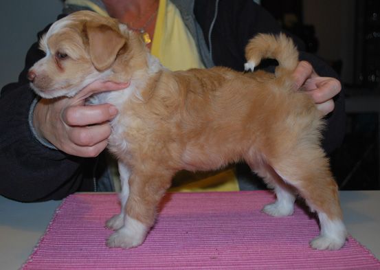 SandruS Del Mar Marbella