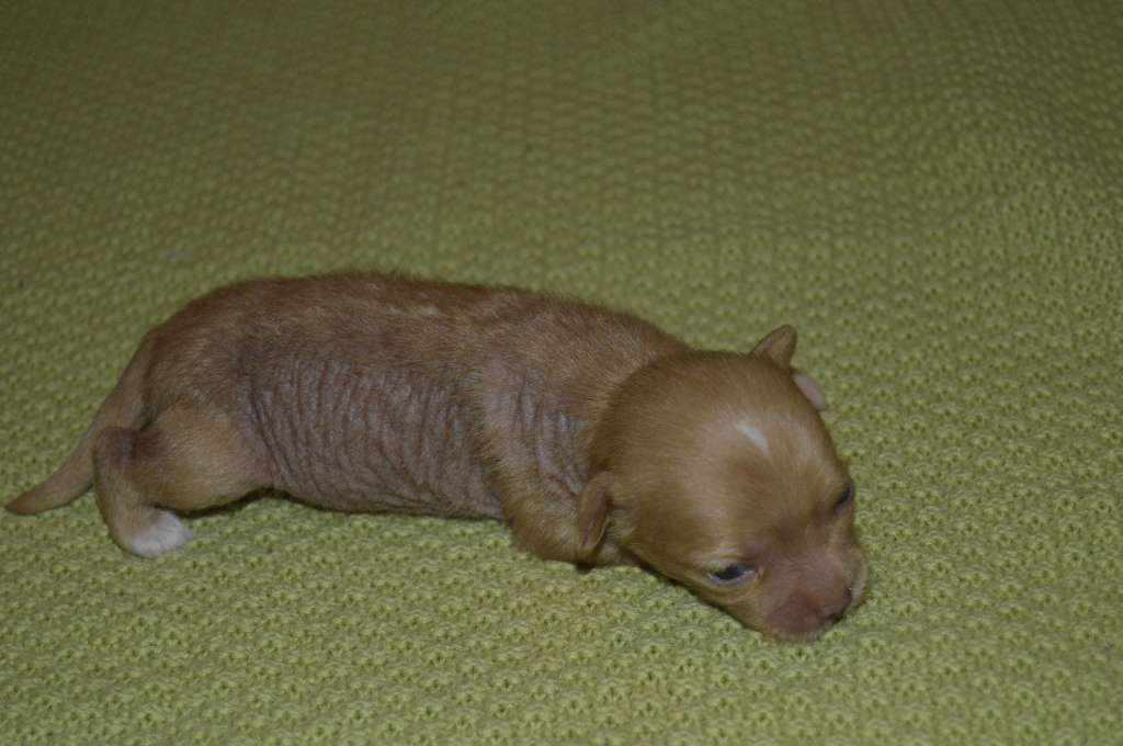 Pinky Twinky Was Kissed By Fire