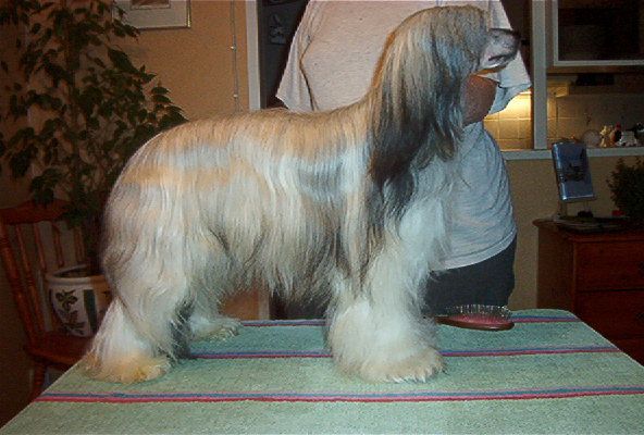 Zhannel's Rhythm'n Blues