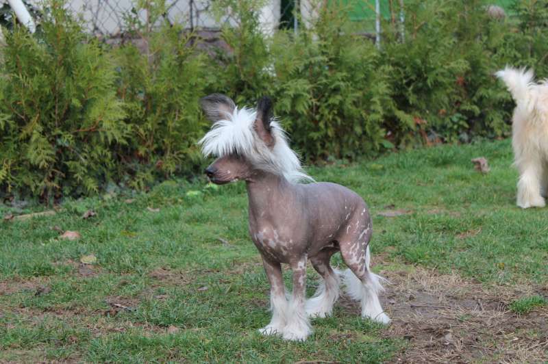 Tamiami's Arkadelphia