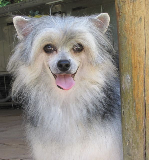 Jackpot in Vegas Al Maarii Sapphire