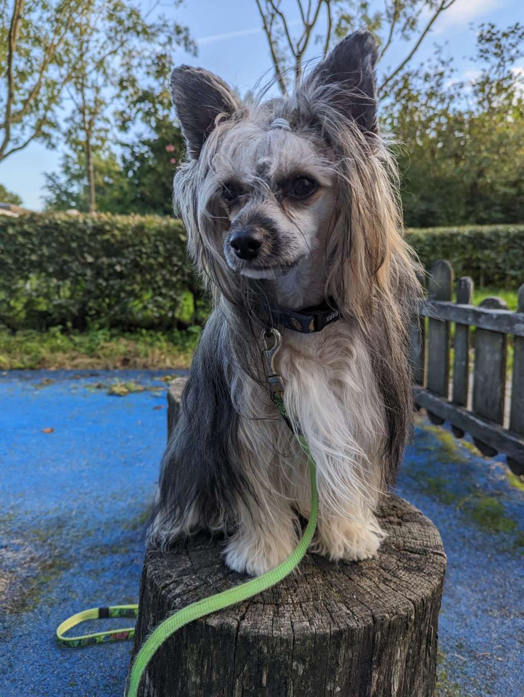 Billie Jean Little Charmings