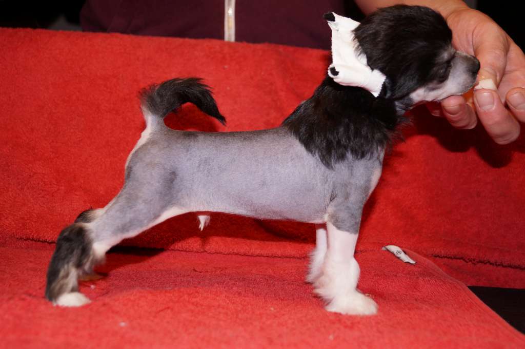 Miakoda's Fear Of The Dark