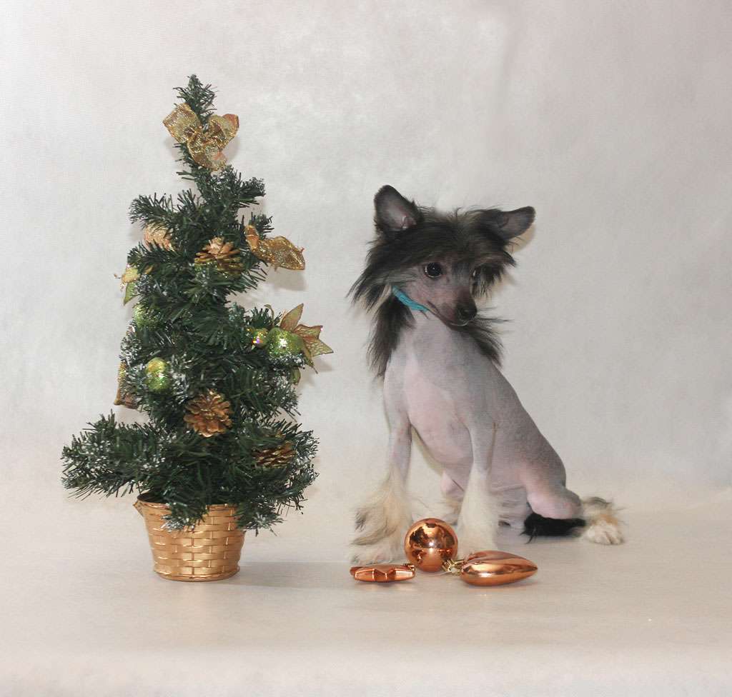 Vernisazh Mari Milosh