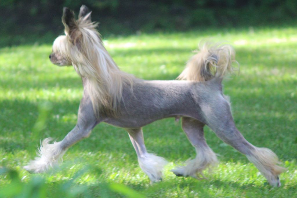 Glamourama  von Shinbashi