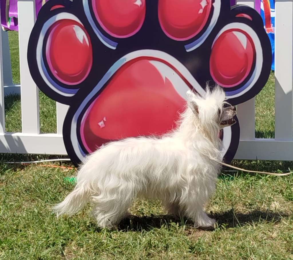 Rita Kimmkorn von Natelberg