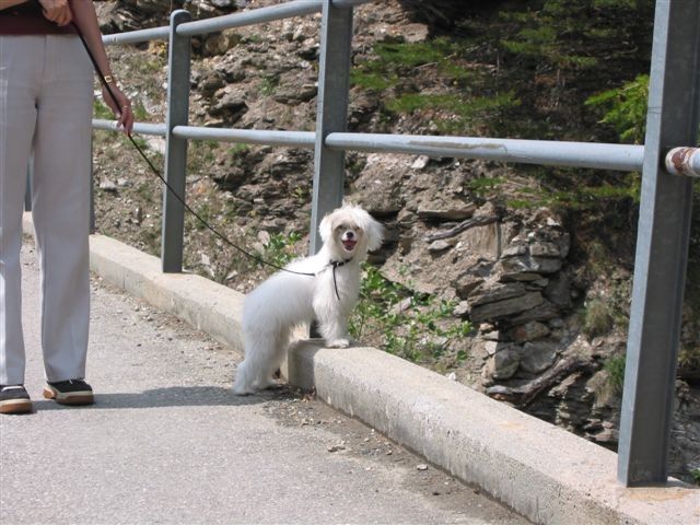 White Toy Boy Fantasy Island