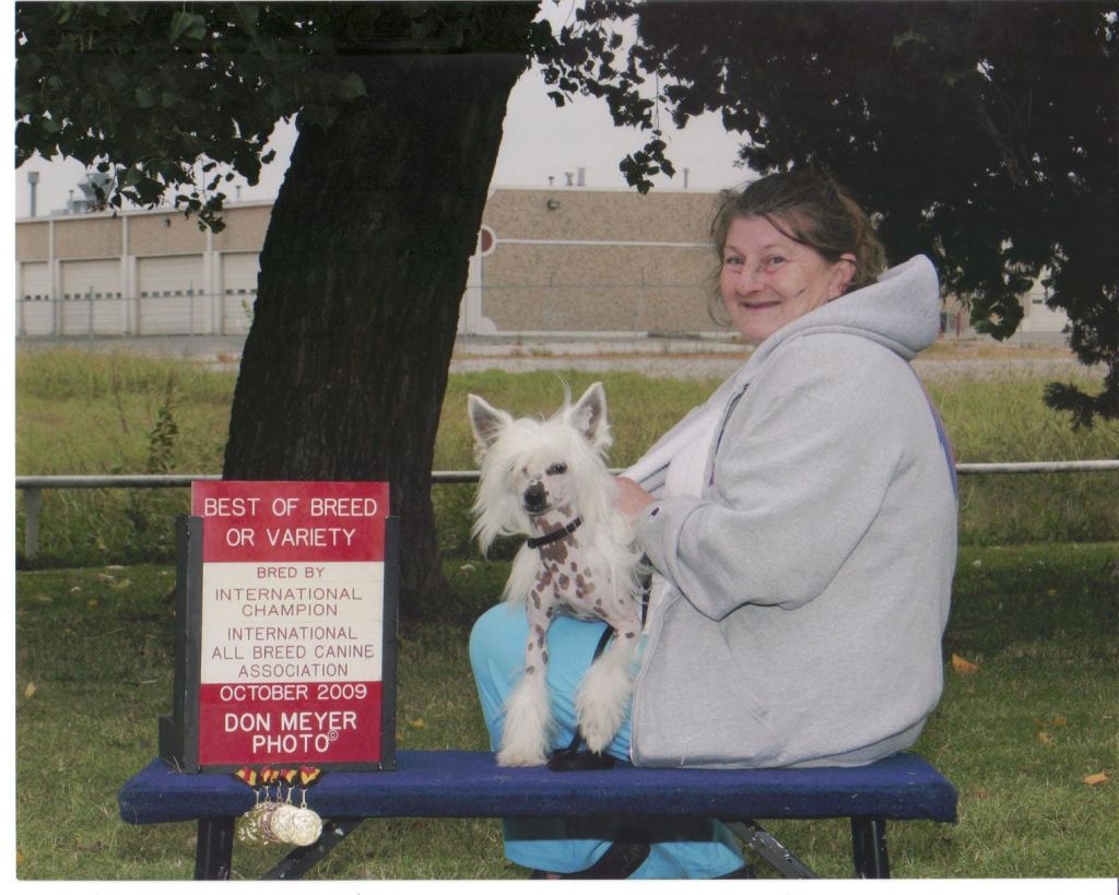 Cees Y I Am Snow Owl